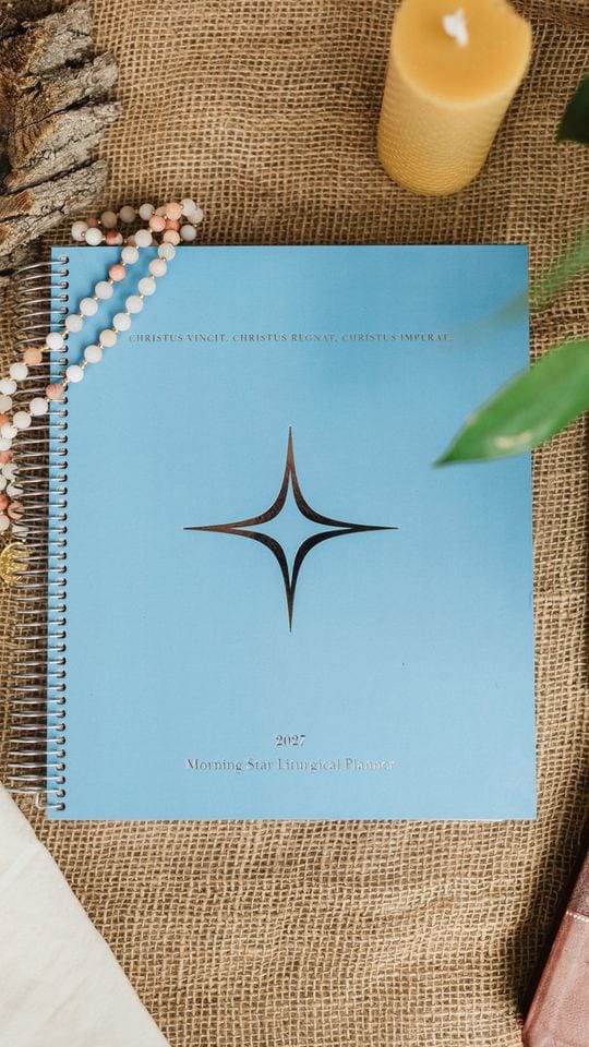 The blue cover of the planner with its Morning Star, from above